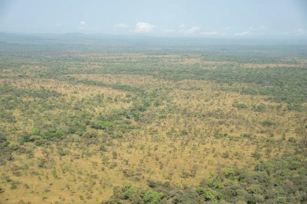 Comoé : le plus grand sanctuaire sauvage de l’Ouest africain vous attend