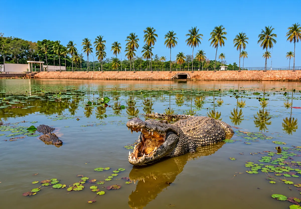 Lacs aux Crocodiles Sacrés